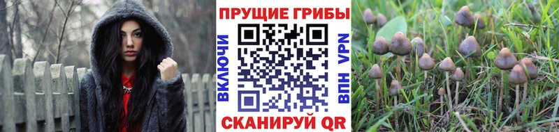 маркетплейс официальный сайт Пермь Псилоцибиновые грибы ЛСД MEGA как зайти